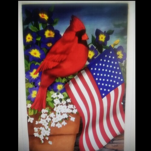 Sweet Land of Liberty 🗽USA 🇺🇸 ASPIRE to INSPIRE before you EXPIRE
**Comparison is the thief of joy**