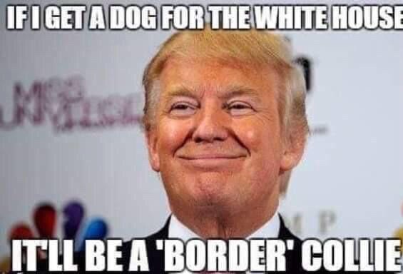 View BIG7TIMES's post on GETTR. Join the discussion, share your thoughts, and connect with the community.