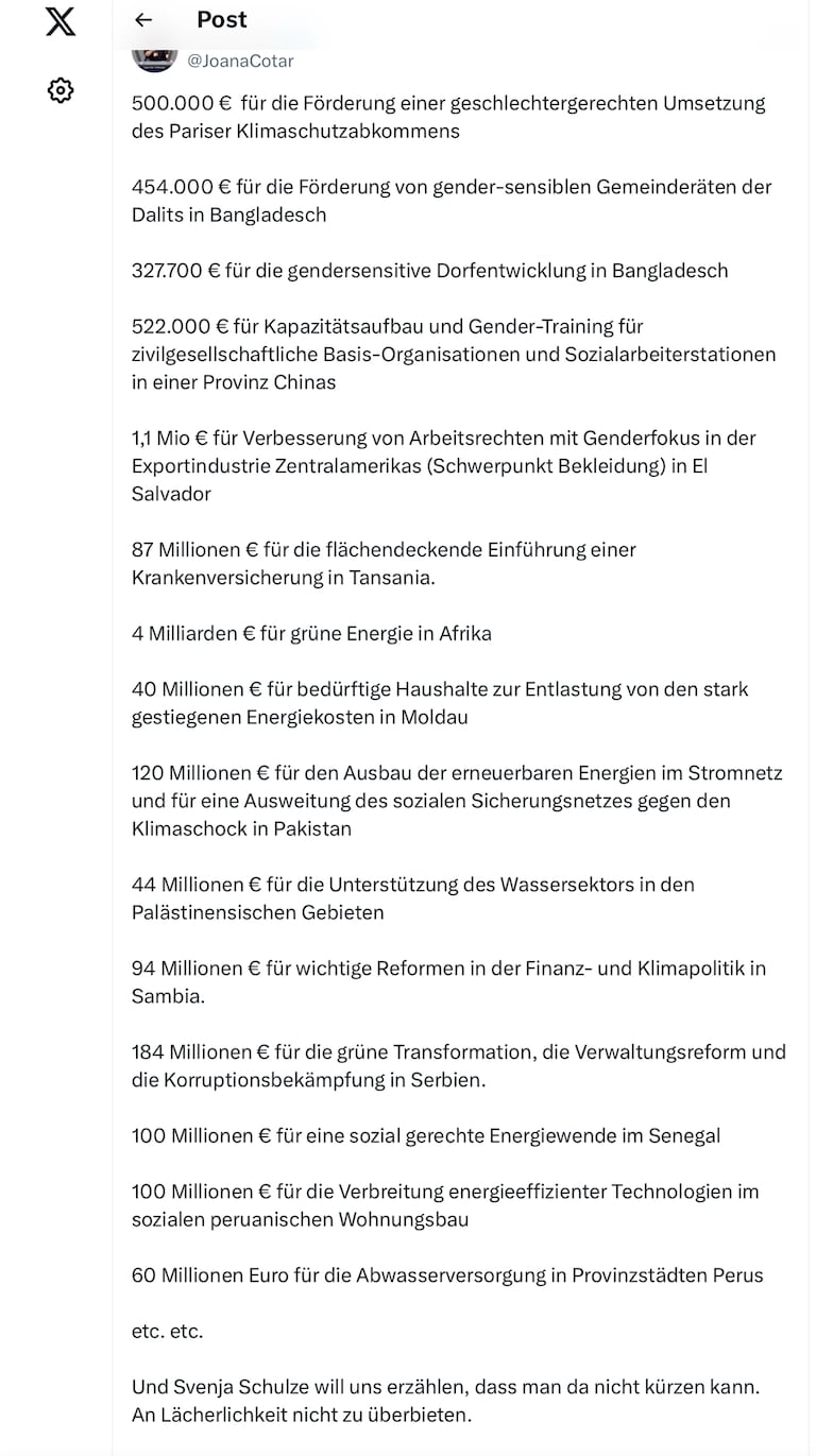 Nicht vergessen! Joana Cotar auf X 2024 


