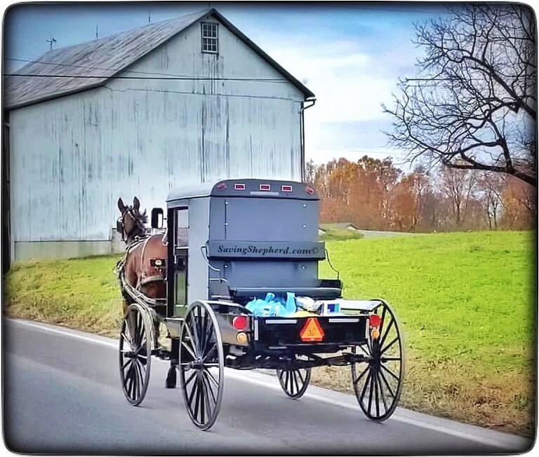 Good Thursday morning, GETTR friends.
“Heart and humor and humility will lighten up your heavy load.” j.mitchell
Time to lighten up & go make it a GR8 to