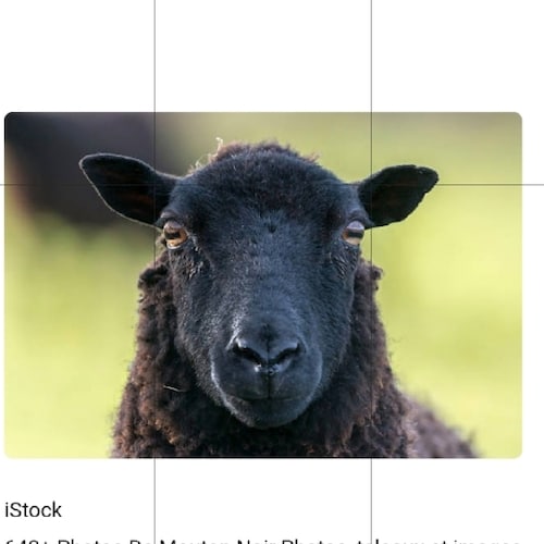 When the people fear the government, there is tyranny;
When the government fears the people, there is liberty.   
      ...