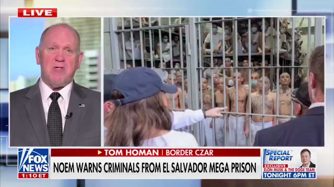 A MIGHTY MOUSE SUNDAY SPECIAL 2
#dtoo #umpg  #rogerstrains

Follow all 
Like and repost 
Add your @ ...