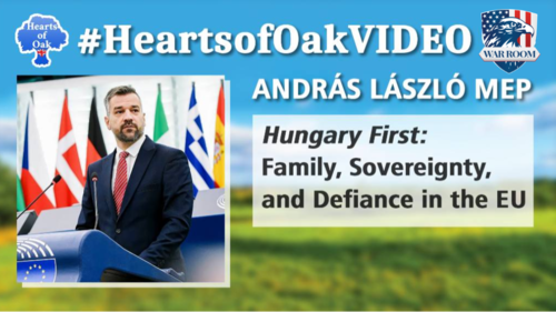 András László MEP - Hungary First: Family, Sovereignty, and Defiance in the EU