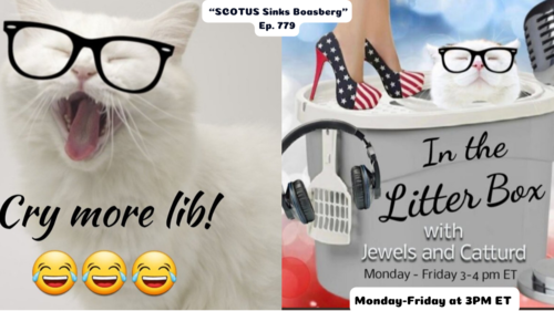 SCOTUS Sinks Boasberg | In the Litter Box w/ Jewels & Catturd – Ep. 779 – 4/8/2025