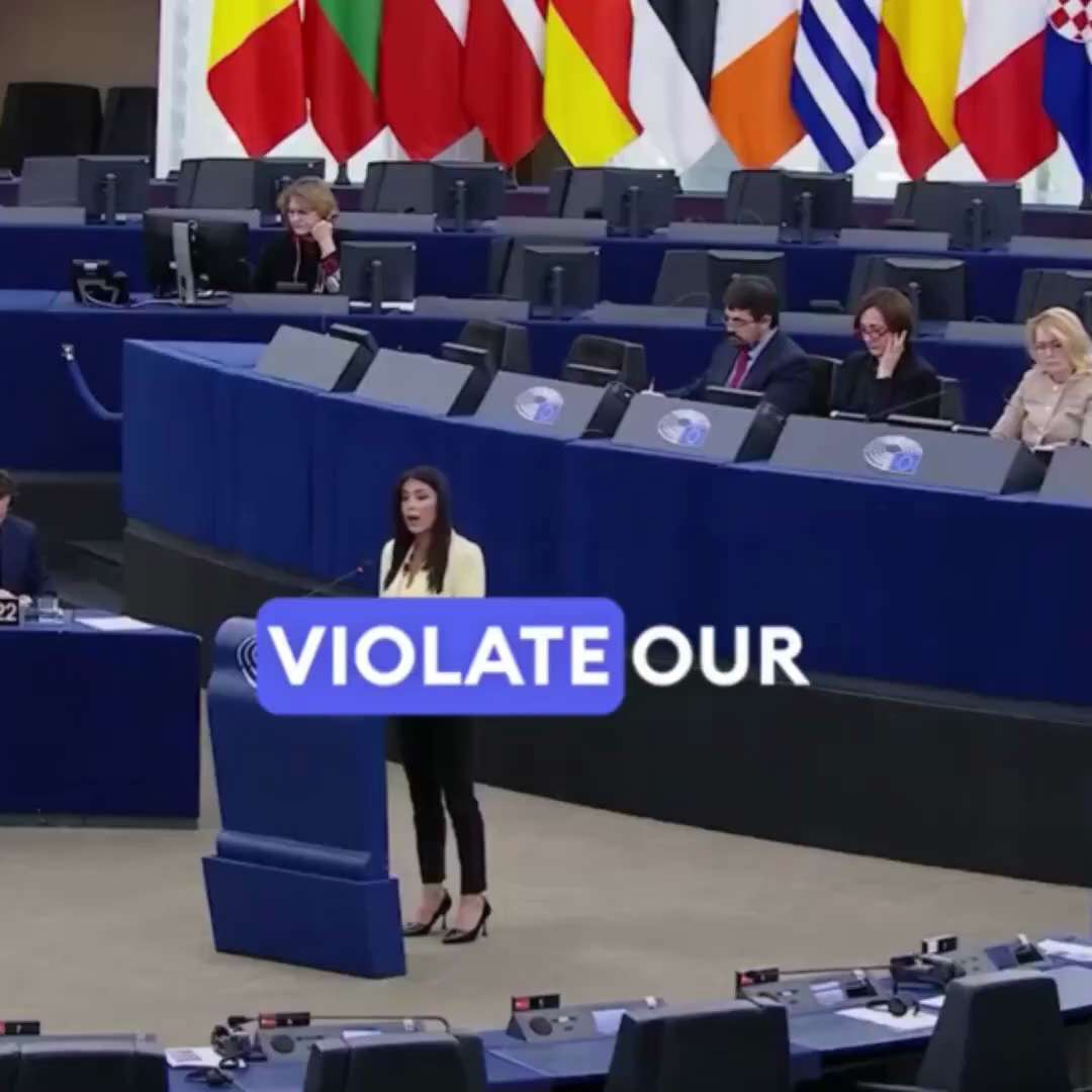 🚨🇪🇺 MEP Afroditi Latinopoulou says what almost all Europeans think: “You have flooded European ci...