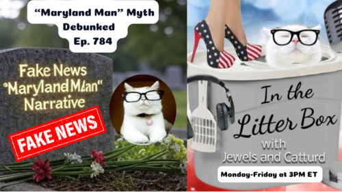 "Maryland Man" Myth Debunked | In the Litter Box w/ Jewels & Catturd – Ep. 784 – 4/15/2025
