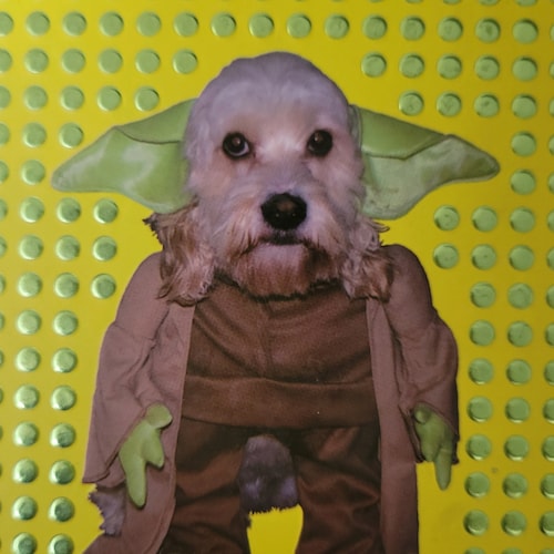 any pronouns
paps dni
faithful JasonMillerist ✝️