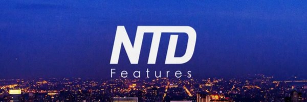 NTD Features