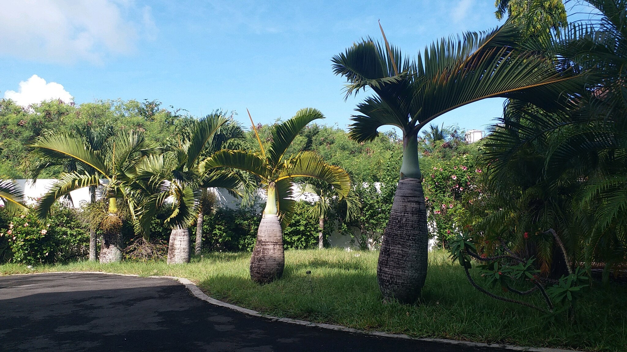 复活节平安快喜乐，感恩生活里的一切