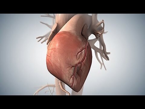 Acute Coronary Syndrome Treatment Market is Estimated to
Witness High Growth Owing to Rising Prevale...