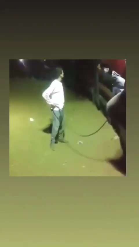 PUMP UP THE JAM! 🕺🏿💃🏼🇺🇸🕊️