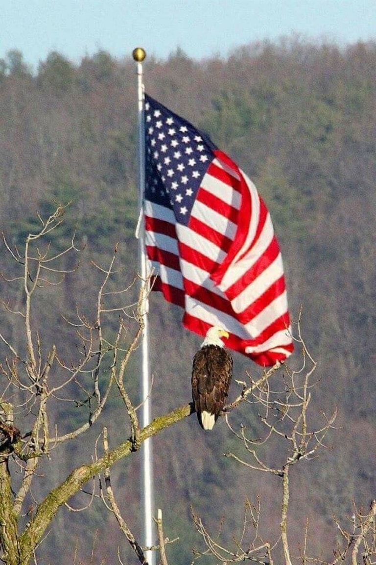Thank you for posting this.IFB
Please follow our Great Patriot Conductor @Dan_Dafuque