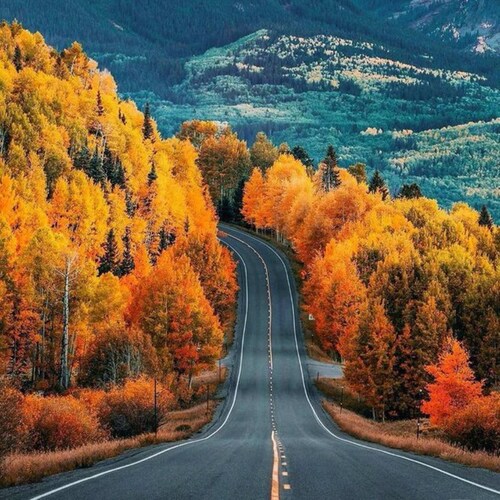 Visit earthmaster's profile on GETTR. View their posts, photos, videos, and connect with them on the social platform.