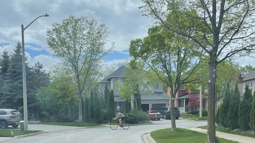 2025-05-18 抗议唐平 威廉王活动现场