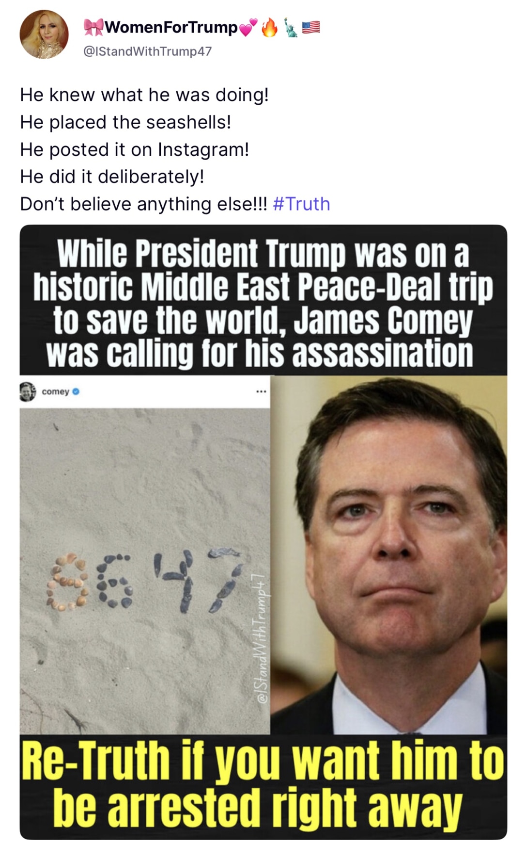 President Trump just shared my post on TS! 
Let’s lock Comey up!!!