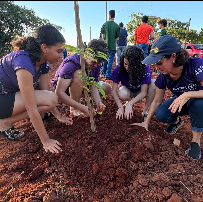 Texto do Interact Club de Ilha Solteira:

dia 17 de maio foi dia de semear o futuro! 
Plantamos 20 m...