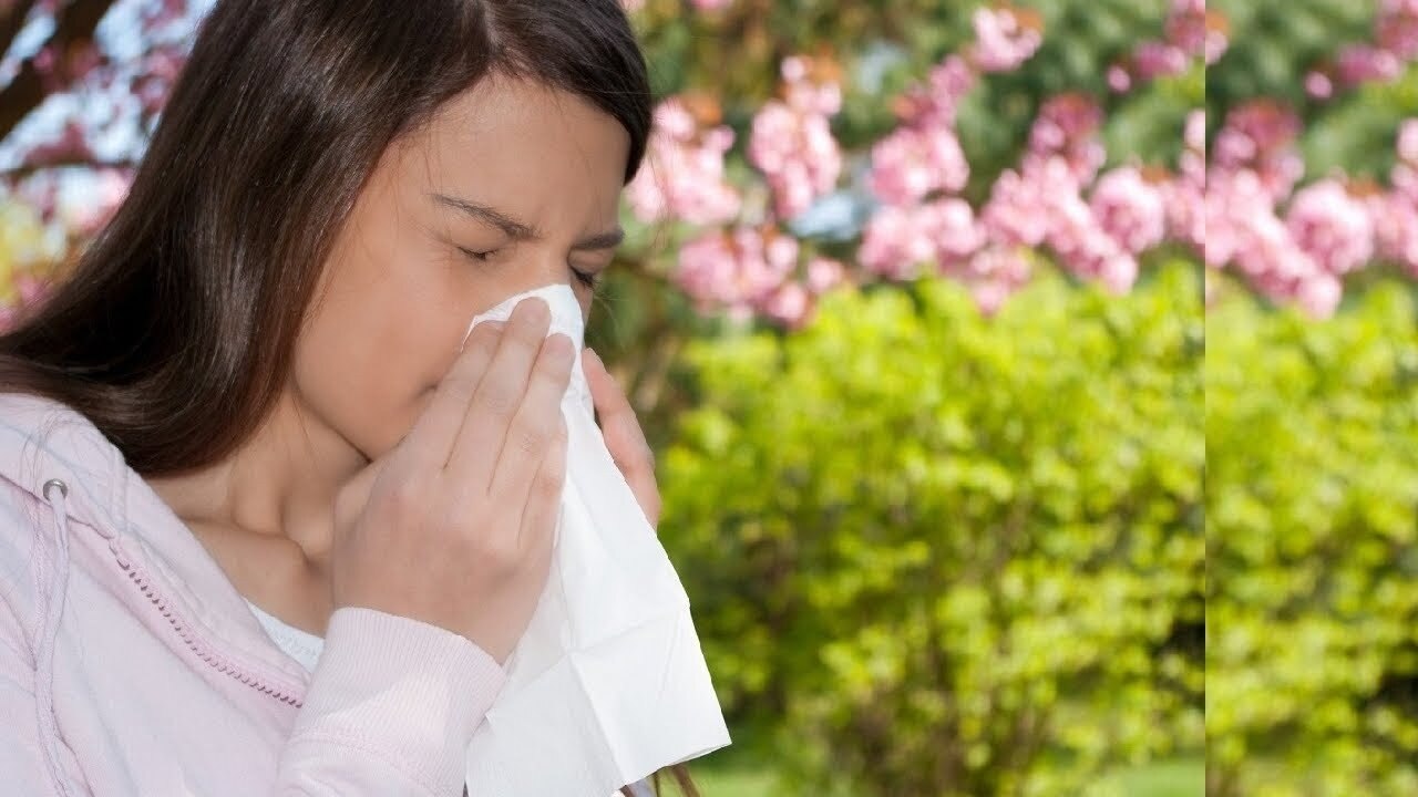 Seasonal Allergic Rhinitis Market Estimated to Grow Owing to
Biologic Therapies



The Seasonal Alle...