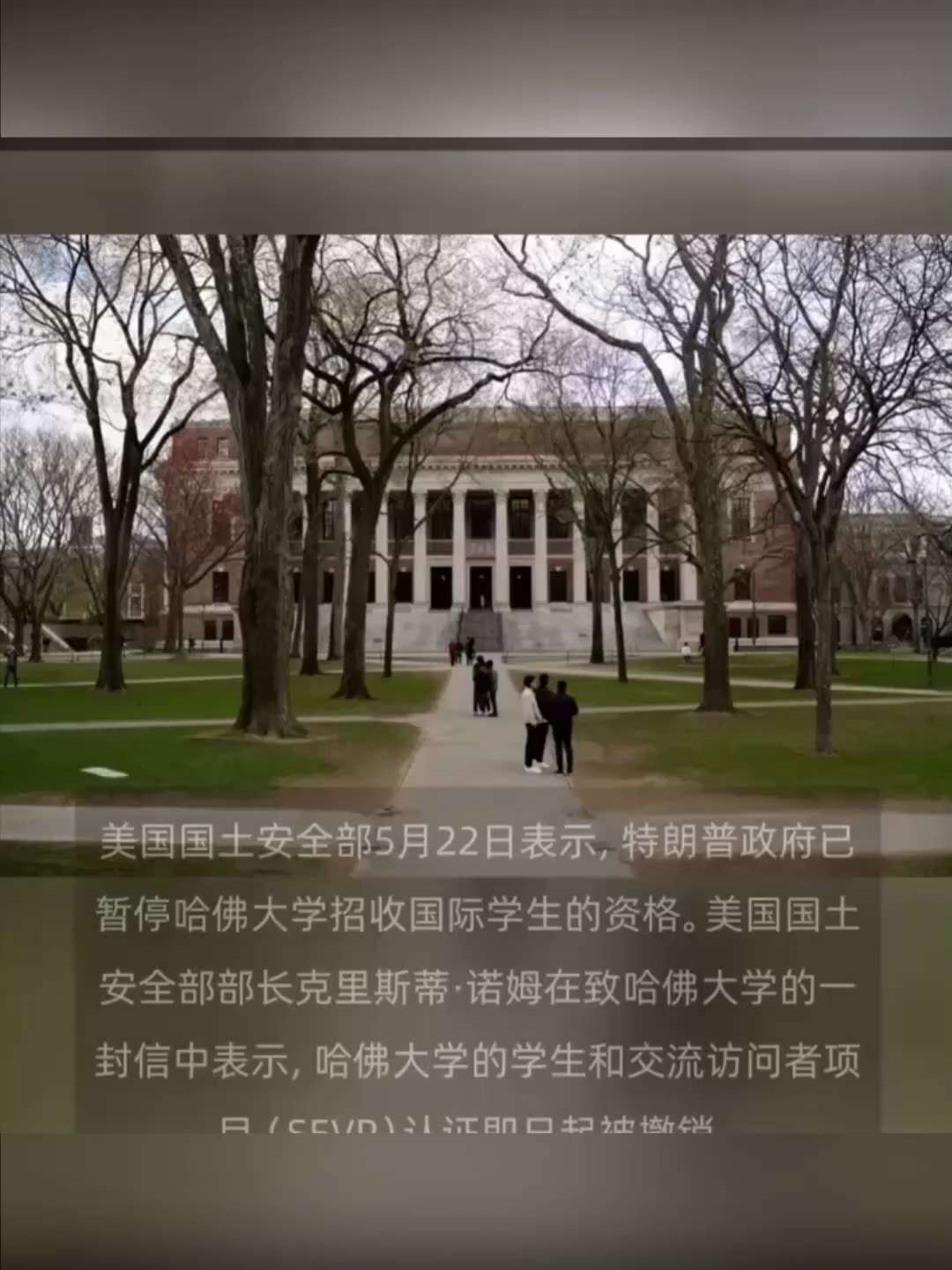 🔥5月22日，川普政府己停止哈佛招收国际生。