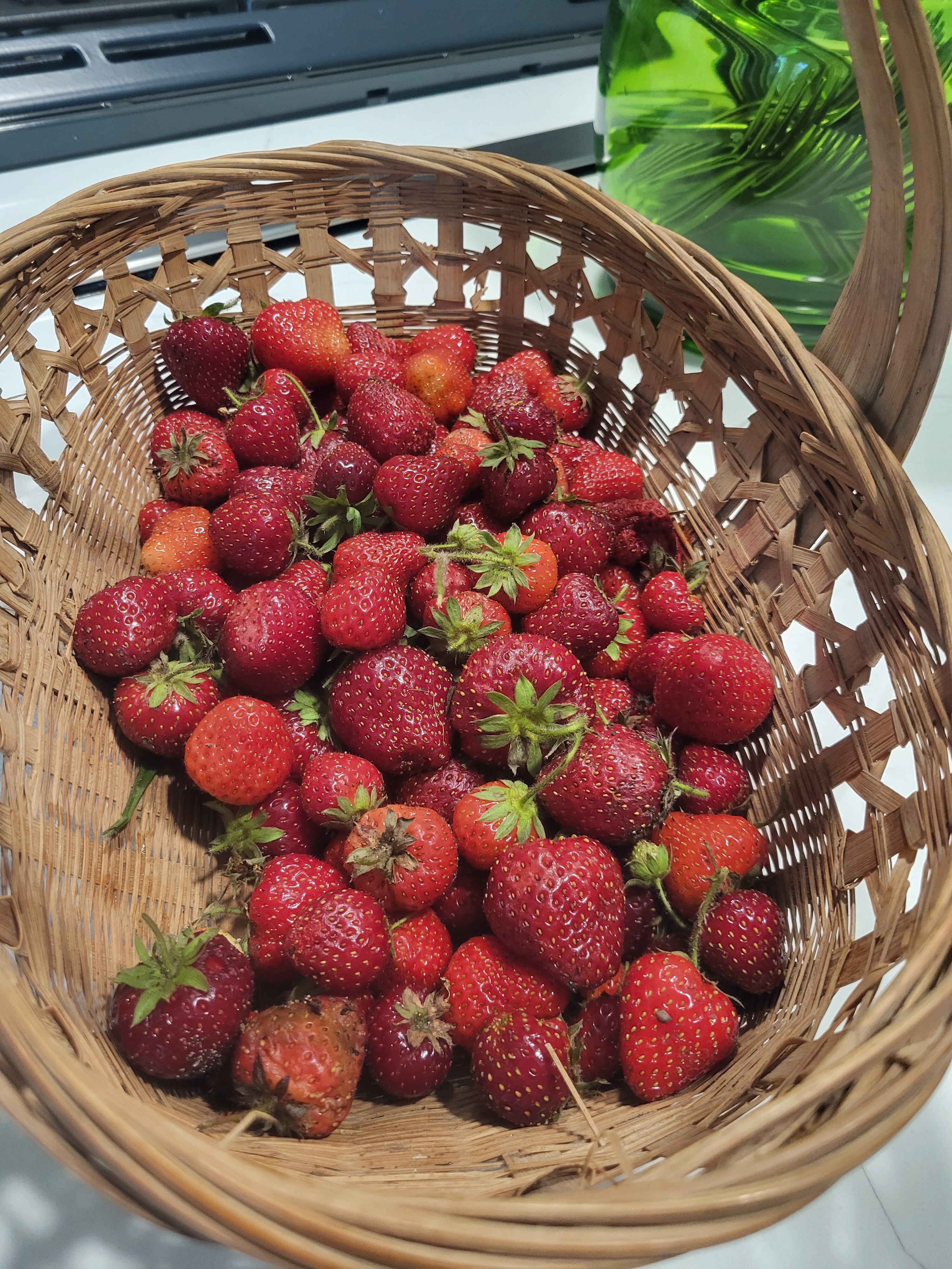Busy morning here at Torch Light Cottage. Watered the garden, picked strawberries, pulled weeds. Liv...
