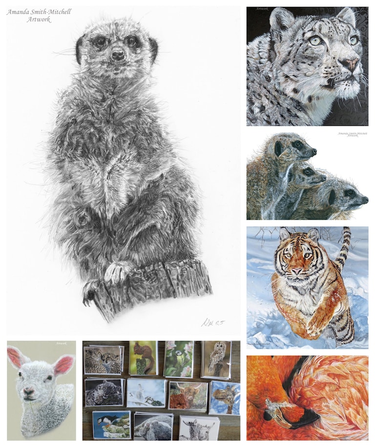 I am a pet and wildlife artist, sometimes I do floral work too, and I have cards, prints and original art for sale at my Etsy shop. Please feel free to tak