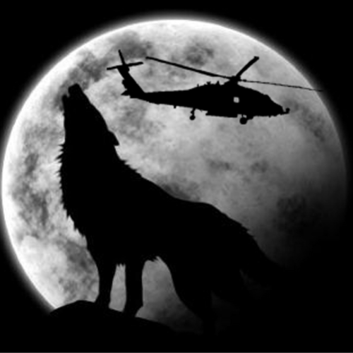 Tree Wrangler. U.S. Airdale Sailor.  Feral Freethinker.  Let's get the future back the way it used to be! We are the maj...