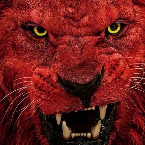 FULLY VACCINATED BY THE BLOOD OF JESUS