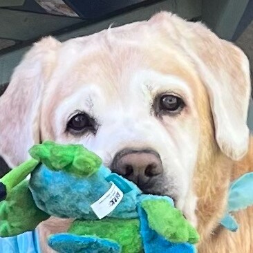 Visit Marian127's profile on GETTR. View their posts, photos, videos, and connect with them on the social platform.