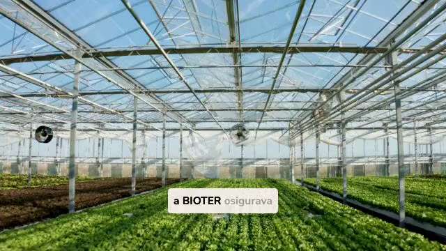 Pouzdano Eco Kvalifikacija Usluge u Hrvatskoj

Dobijanje eko certifikat u Hrvatskoj osigurava usklad...