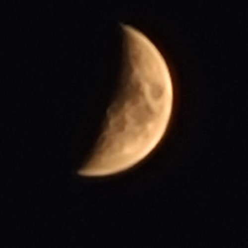 Just a freedom loving Christian and American.