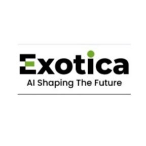 Exotica IT Solutions offers automation, web development, digital marketing, and IT consulting to help businesses grow wi...