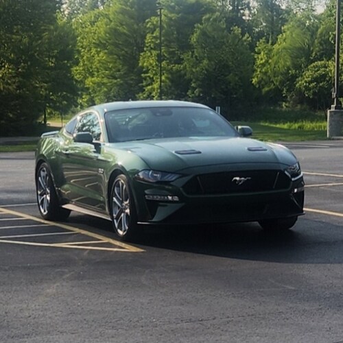 100 percent conservative Patriot 🇺🇲
🇺🇲 Freedom over fear 🇺🇲
MAGA