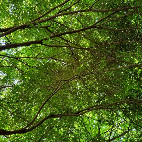 Visit Better life 🎉's profile on GETTR. View their posts, photos, videos, and connect with them on the social platform.