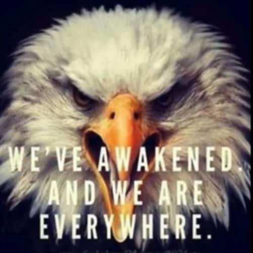 Visit UnderGodWeTrust's profile on GETTR. View their posts, photos, videos, and connect with them on the social platform.