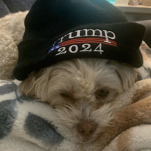 Trump loving family 🇺🇸🇺🇸
Rescue a pet
Back the Blue👮🏼‍♂️
It’s PAYBACK time everyone