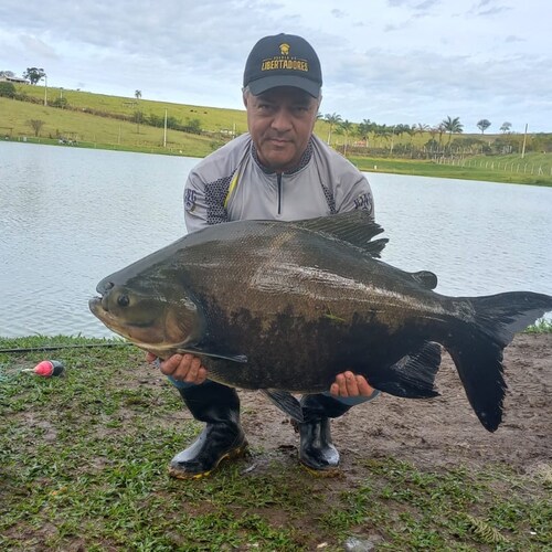 Visit marioyukiotakaki_1936's profile on GETTR. View their posts, photos, videos, and connect with them on the social platform.