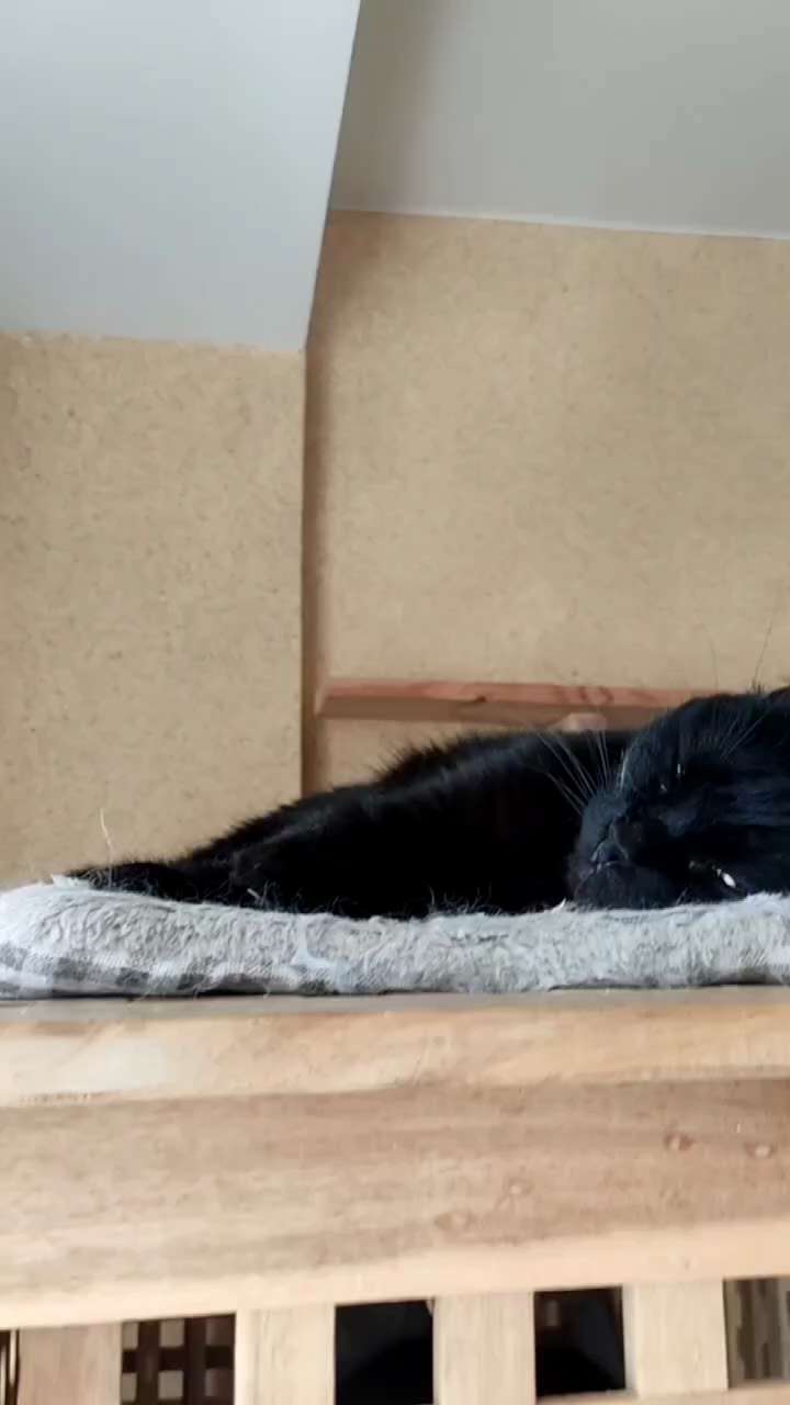 Let me sleep... Syomushka is very languid in the heat, like everyone else, so during the day we have...