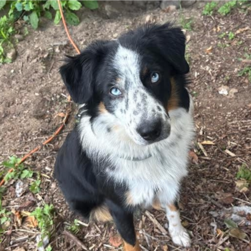 Visit IDEAS FROM SIMPLE MAN ON MAIN STREET.'s profile on GETTR. View their posts, photos, videos, and connect with them on the social platform.