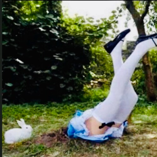 🇨🇦🤡Carney’s Circus🤡🇨🇦
🇱🇷 MAGA 2025 🇱🇷
➡️ I FOLLOW BACK ⬅️
💍 HAPPILY MARRIED 💍
DOWN THE 🐇🕳️
THE TRUTH IS ST...