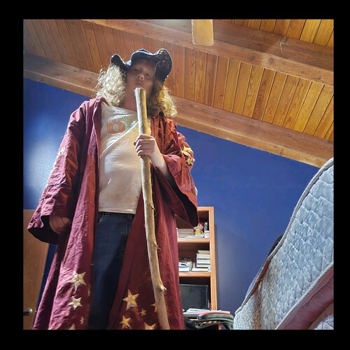 Avitar hunger games volenter 1