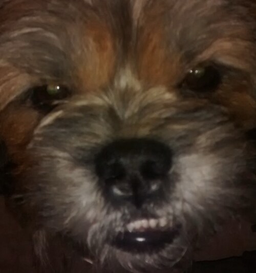 Stand and fight against immoral, communist bullshit .