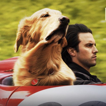 Visit Gaz1165's profile on GETTR. View their posts, photos, videos, and connect with them on the social platform.