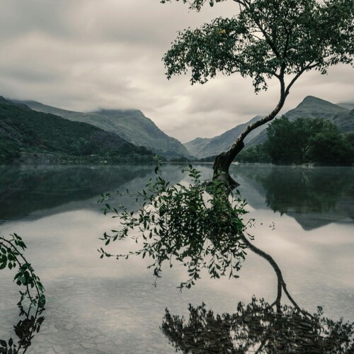 Visit OK's profile on GETTR. View their posts, photos, videos, and connect with them on the social platform.