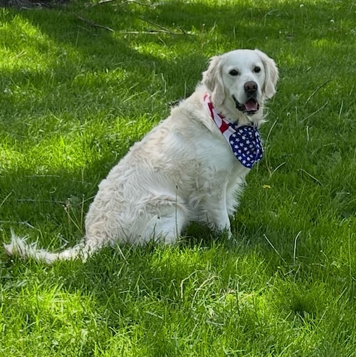 X mil. 10 years AF. HAPPILY MARRIED. Semi Retired. Love dogs. Grateful! Anti liberal. Anti media (ENEMY OF PEOPLE) propa...