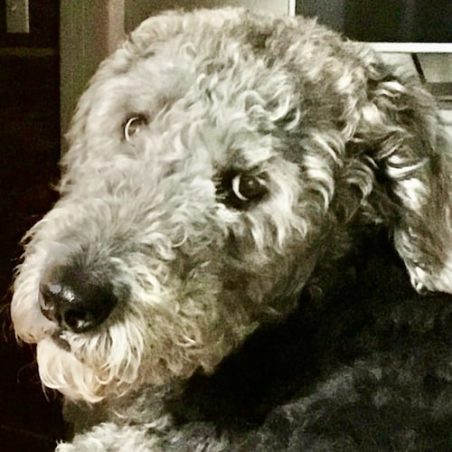 Visit aussiewife5463's profile on GETTR. View their posts, photos, videos, and connect with them on the social platform.