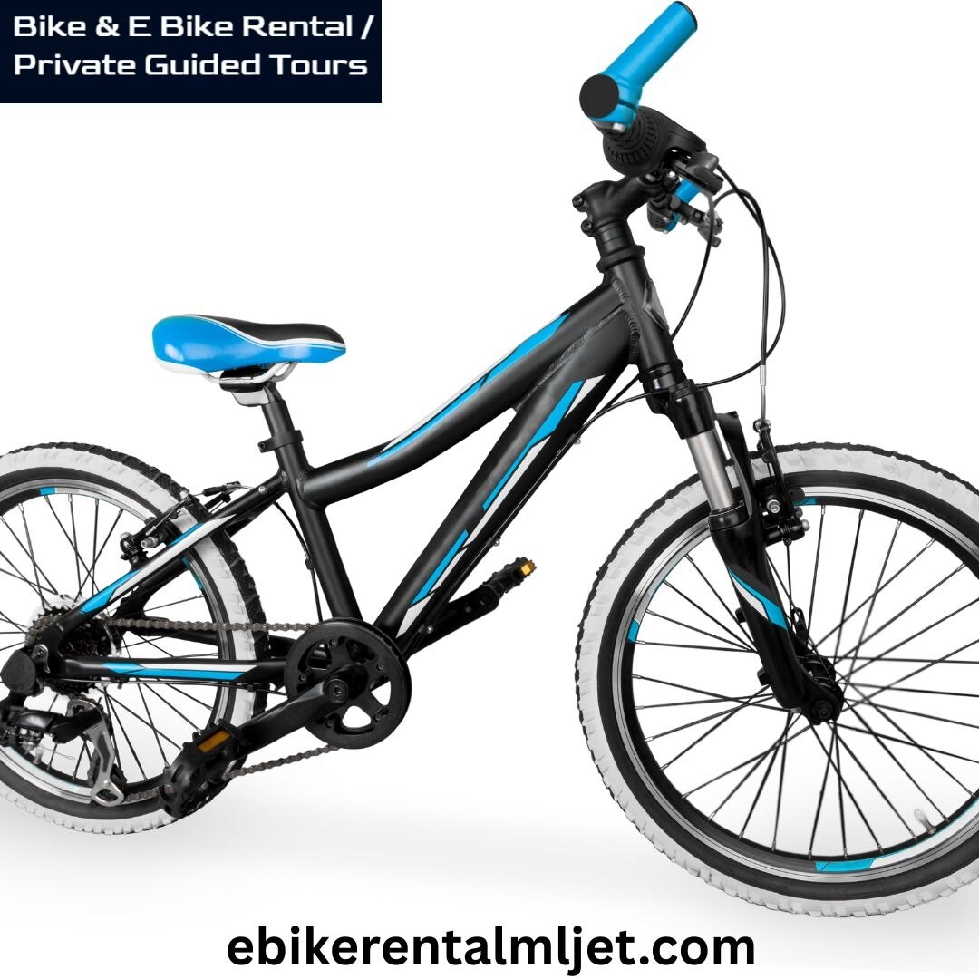 Guided Bike Tours in Mljet for a Unique Exploration Experience

Traversing Mljet through guided bike...