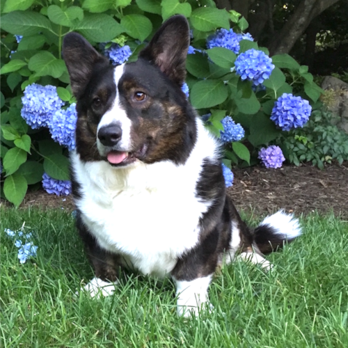 “GOD, FAMILY, COUNTRY” in that order, always.
——————————————
Follower of Jesus Christ
America First Patriot
Constitu...