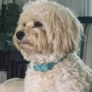 Visit Sarah nice's profile on GETTR. View their posts, photos, videos, and connect with them on the social platform.