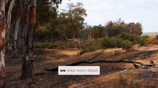 Experience Adventure on a Safari Tanzania Journey

Tourists on a Tanzania safari take pleasure in ad...