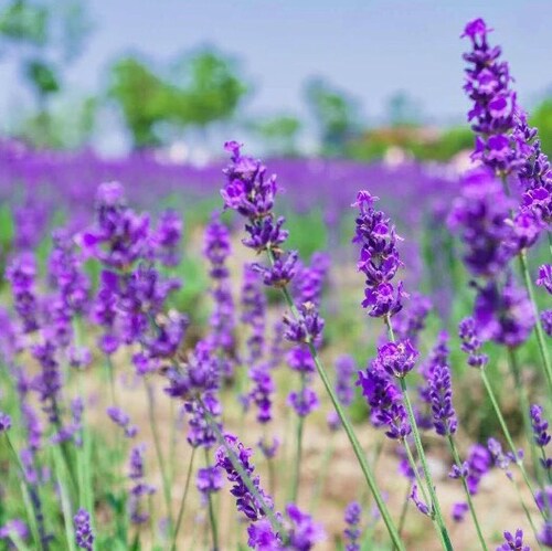 Visit 111's profile on GETTR. View their posts, photos, videos, and connect with them on the social platform.