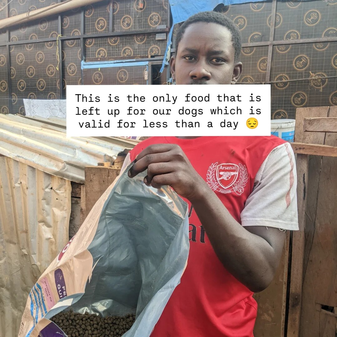 Kindly donate link in bio for any food and treatment support 🙏